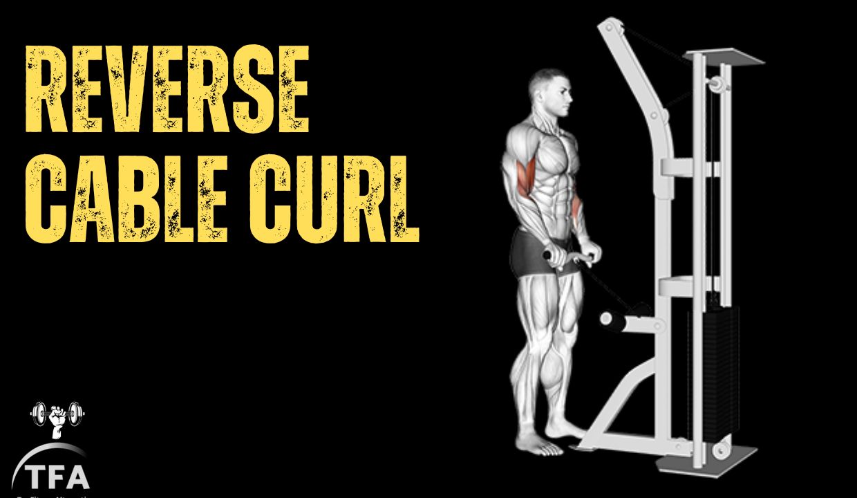 Cable Arm Workouts